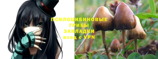 прущая мука Алзамай