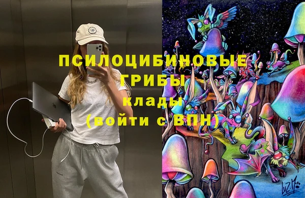 не бодяженный Алексин