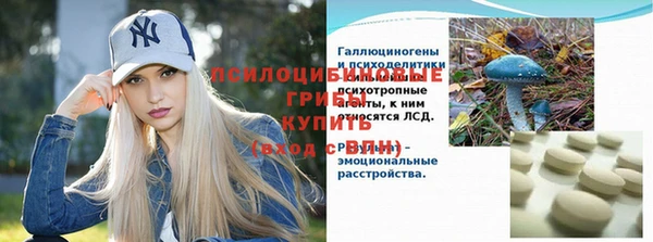 ALPHA-PVP Алексеевка