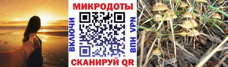 Псилоцибиновые грибы мухоморы  Калининск 